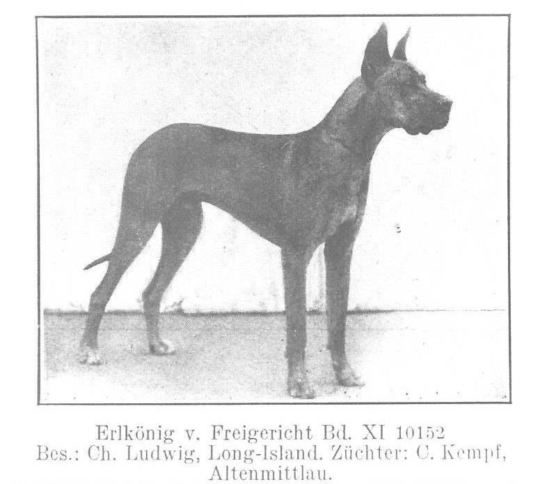 Erlkonig v Freigericht